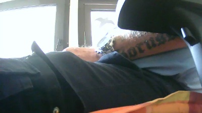dogscout live cam on Cam4