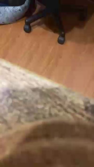 donjuan03862 live cam on Cam4