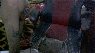dotadopara live cam on Cam4