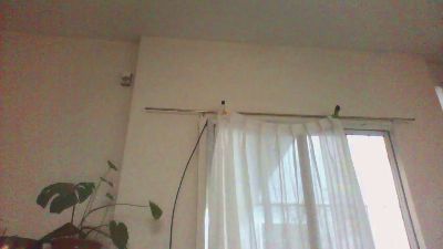 dotbaires live cam on Cam4