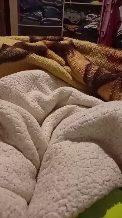 douglas3o live cam on Cam4