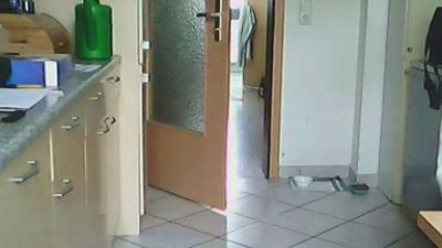 dwdaisysh live cam on Cam4