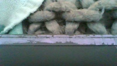 eandj_xxx live cam on Cam4
