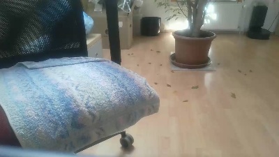 elekmp Live Cam on Cam4