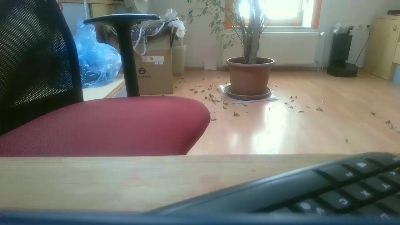 elekmp live cam on Cam4