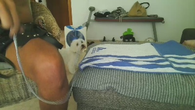 elgolfetehot live cam on Cam4