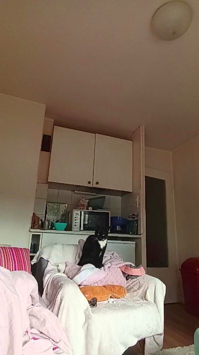 elleblue_sexy live cam on Cam4