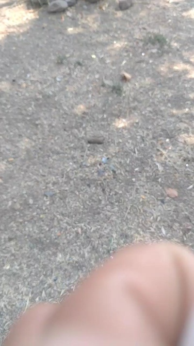 Profile and Statistics for elmemo3 on Cam4