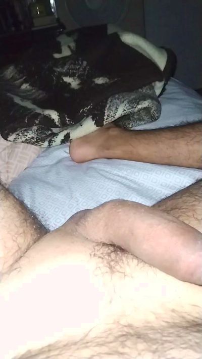 elpeluchecam live cam on Cam4