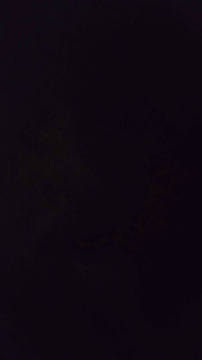 elpotro55 webcam