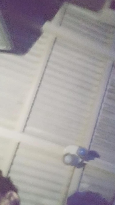 eltorotano live cam on Cam4