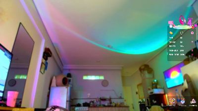 elzrd live cam on Cam4