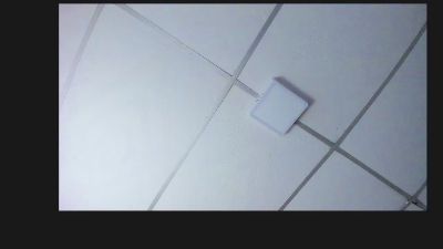 emilyy__rosse live cam on Cam4