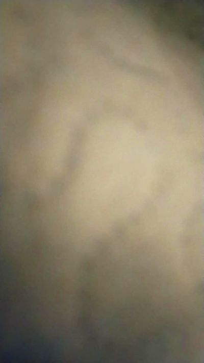 enzo733 live cam on Cam4