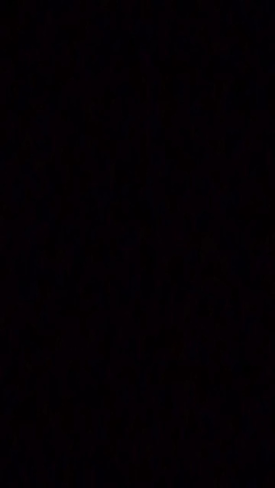 erectopuntog3 webcam