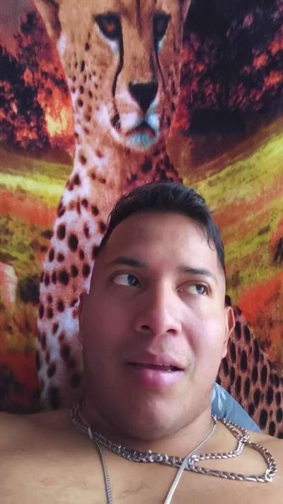 Profile and Statistics for erick2075 on Cam4