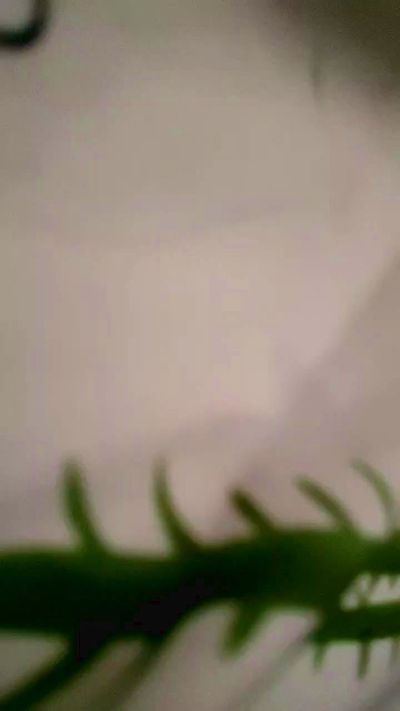 ester1990_sexy live cam on Cam4