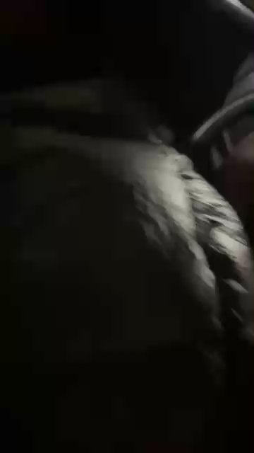 eyou1 live cam on Cam4