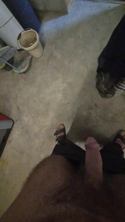fac2613 live cam on Cam4