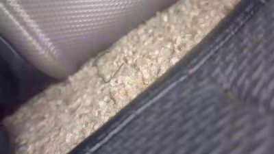 farmall1 live cam on Cam4