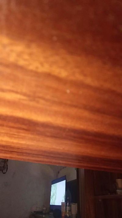 febo20 live cam on Cam4