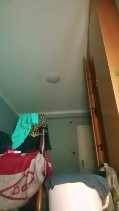 felipedavidtgn2 live cam on Cam4