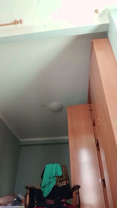 felipedavidtgn2 live cam on Cam4