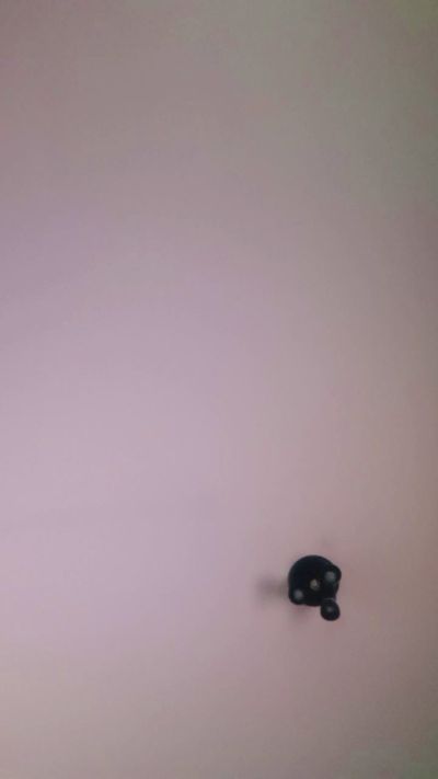 felipedavidtgn2 live cam on Cam4