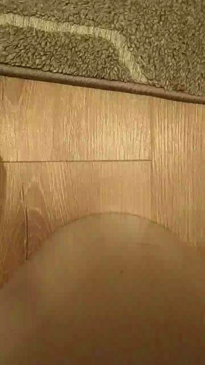 fer2343 live cam on Cam4