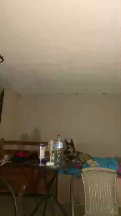ferreralbertca1 live cam on Cam4