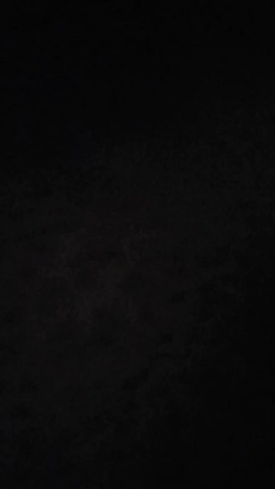 flic2 webcam