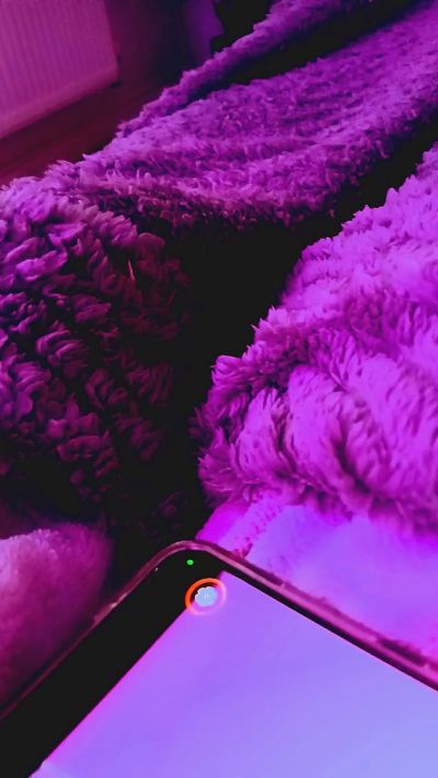 foxlifesexy live cam on Cam4