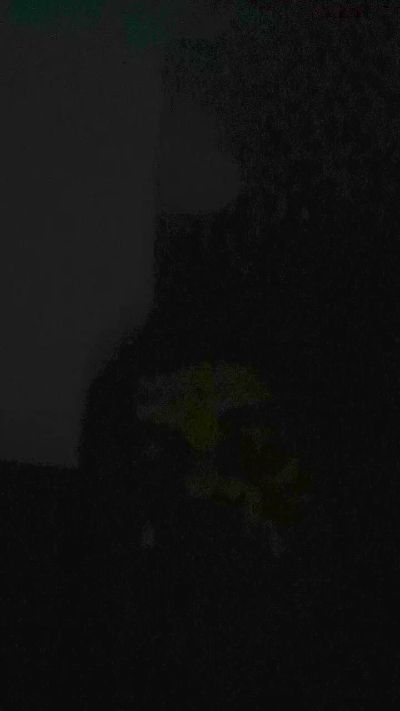 fran11204 live cam on Cam4