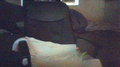 francoiscurieux live cam on Cam4