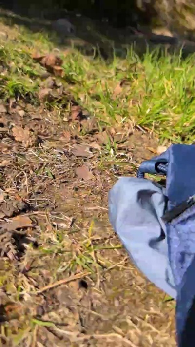 Profile and Statistics for fuje on Cam4