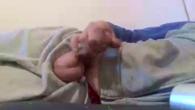 gabi2184 live cam on Cam4