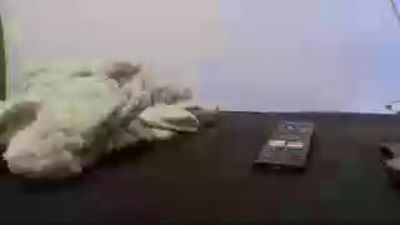 gabi2184 live cam on Cam4