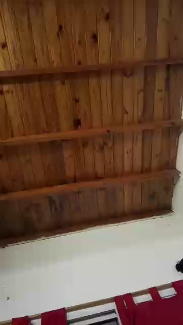 galactico_fun live cam on Cam4