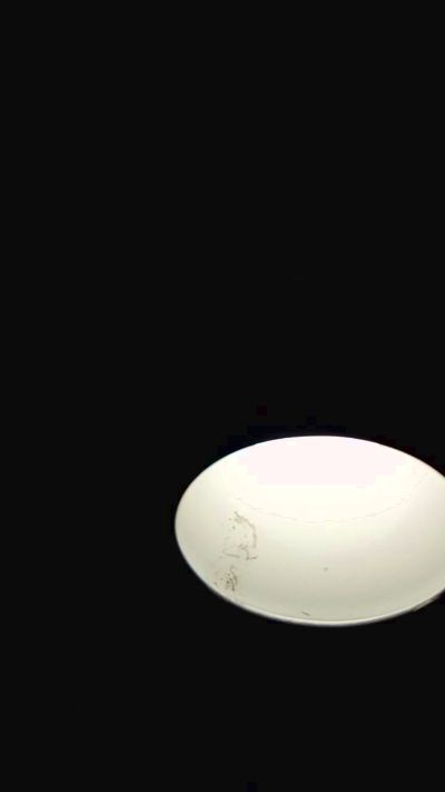 gallo186 live cam on Cam4