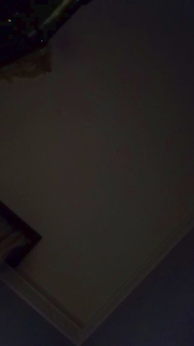 gallo186 live cam on Cam4