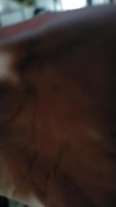galydancer live cam on Cam4