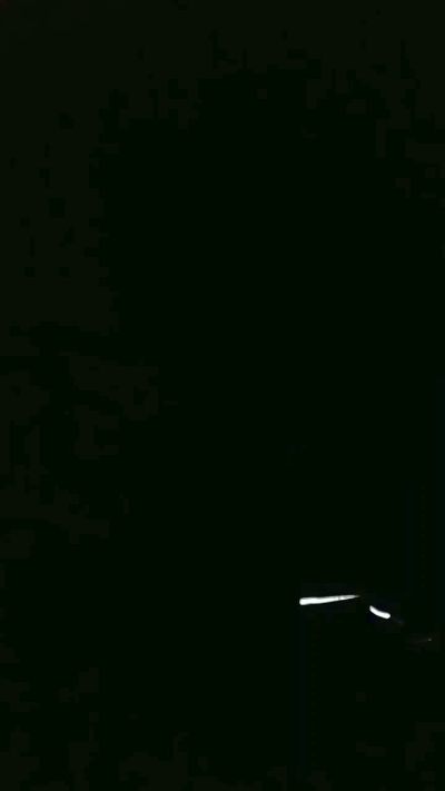 galydancer live cam on Cam4