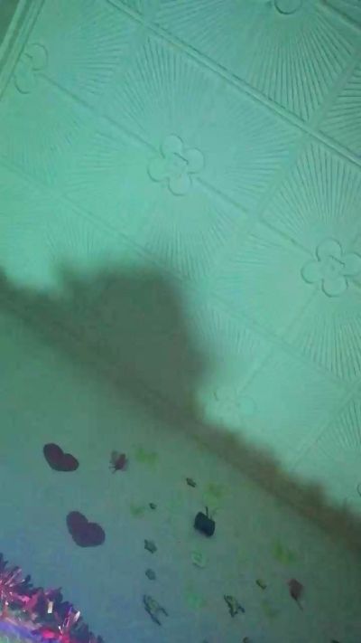 gatita3333 live cam on Cam4