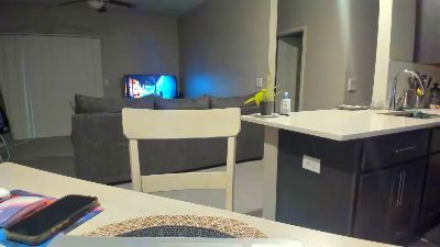 gatubela43 live cam on Cam4