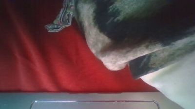 geilmilfjee live cam on Cam4