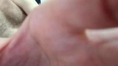 Webcam uomo dal vivo da Australia con gentlegiants