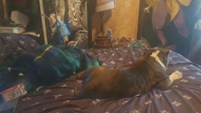 ghettogurlts live cam on Cam4