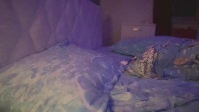gianni799 live cam on Cam4