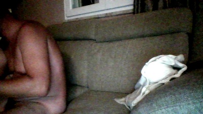 ginterminabile4 live cam on Cam4