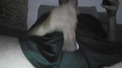 giosor live cam on Cam4